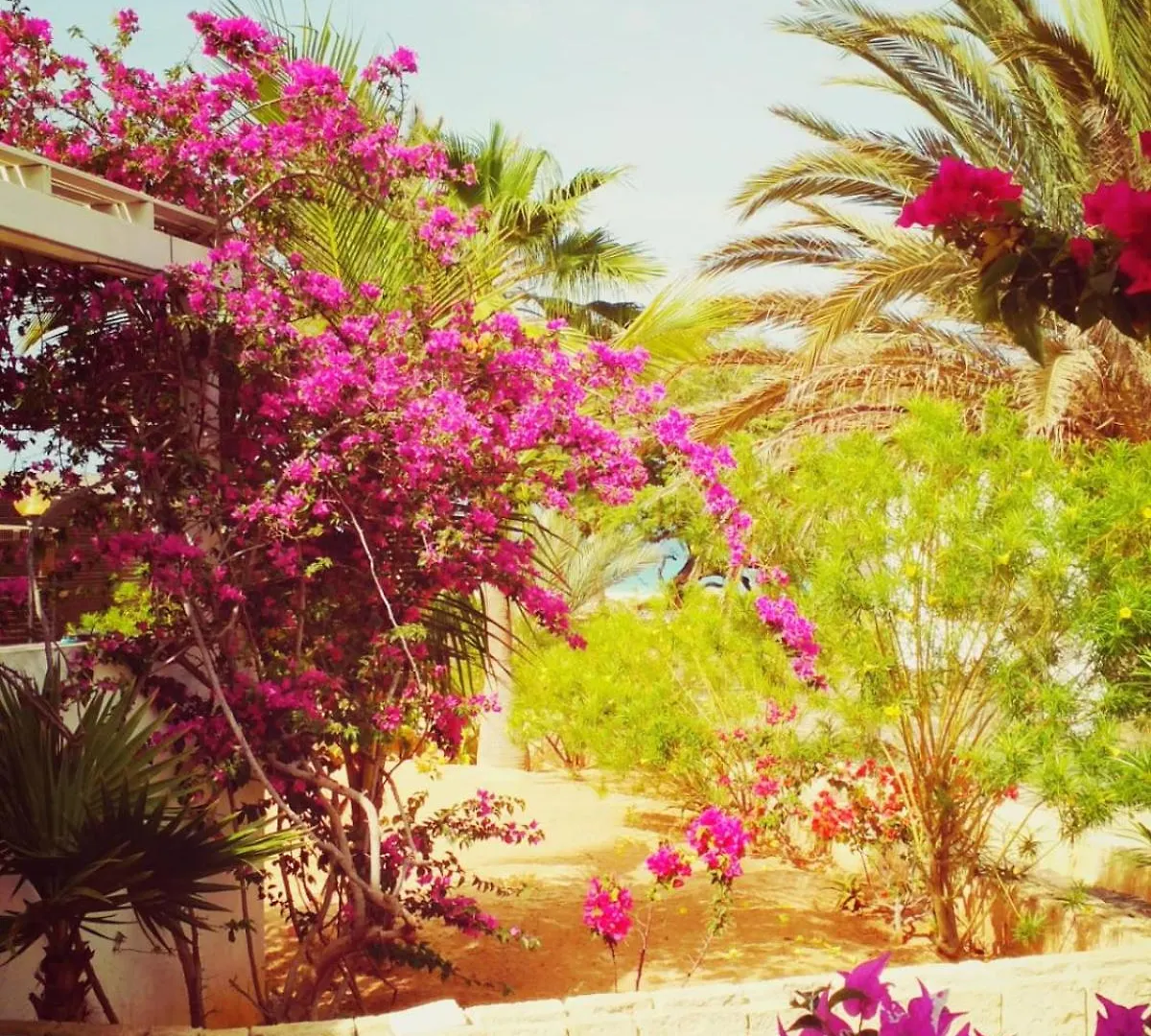 سال راي Villa Cristina Alojamento, Praia De Chaves, Boa Vista, Cape Verde, Wi-Fi سال راي
